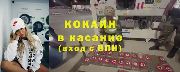 индика Бронницы
