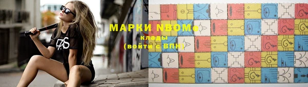 индика Бронницы