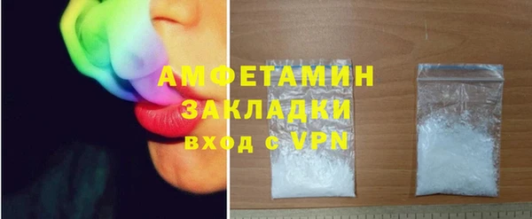 индика Бронницы