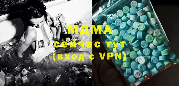 индика Бронницы