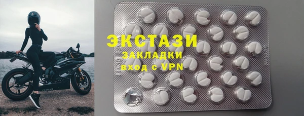 индика Бронницы