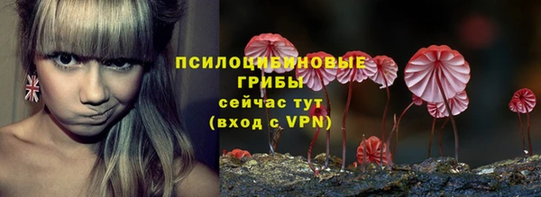 ешки Бугульма