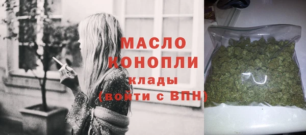 индика Бронницы